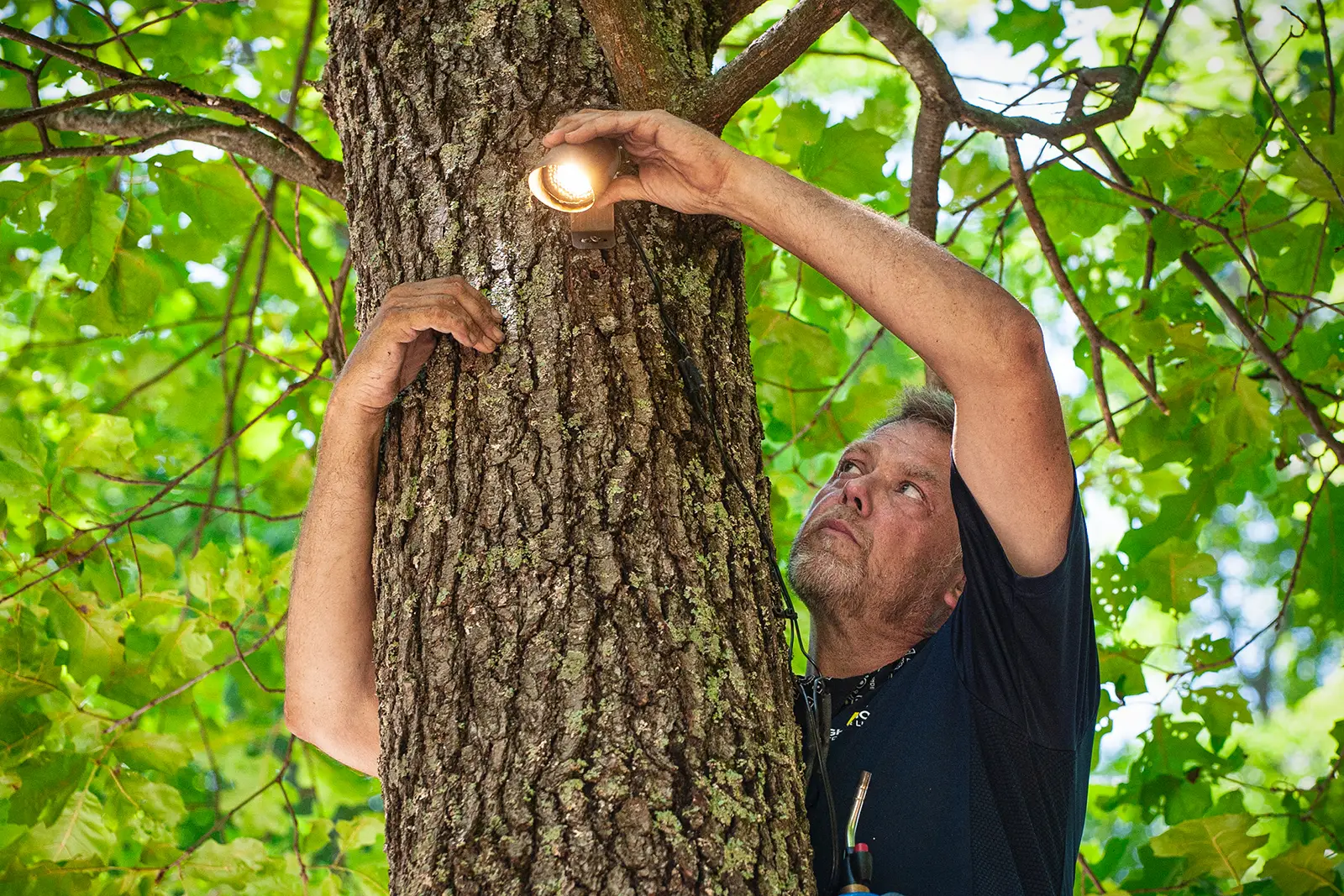 Joey Whitehouse installing outdoor lighting
